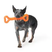 Mix Or Match 30 TPR Spiky Tug Double Handle Dog Toy Asst