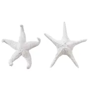 E Style Starfish Ochre/Bat Star Sculpture Tabletop Home Decor Combo Set White