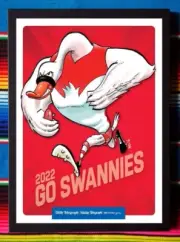 Framed 2022 SYDNEY SWANS AFL Poster - 45cm x 32cm x 3cm