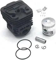 Cylinder Piston Kit Fit for 00-02