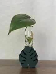 Glass Vase 3D Printed Plant Propagation Station Stand for Home, Office- Monstera