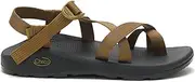 [Chaco] Women's Zcloud 2