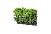 Maze Three Tier Vertical Garden (12 pots)