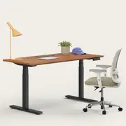 Recess Ergo Bundle | Ergonomic Chair Desk | Home Office Furniture Packages, Eucalypt / Small - 120W x 70D (cm) / Walnut/Black