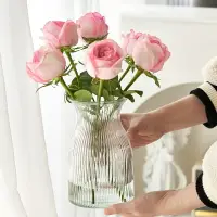 在飛比找樂天市場購物網優惠-【滿299出貨】新款花瓶玻璃透明水養鮮花玫瑰花插花擺件客廳現