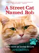 A Street Cat Named Bob ─ And How He Saved My Life