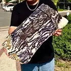 6.71LB Natural agate, zebra stone, crystal mineral, cut and polished in flakes
