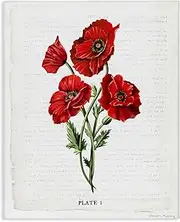 Stupell Industries Red Poppy Study Canvas Wall Art Design by Danielle Murray, 24 x 30