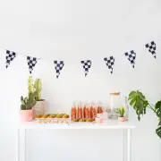 Black and White Checker Pattern Pennant Party String Curtain Race Track Car