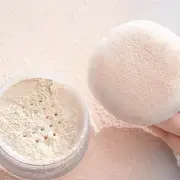 Short Velvet Powder Puff with a Box Foundation Sponge Women Beauty