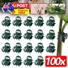 100Pcs Plastic Orchid Plant Garden Clips Vegetable Support Flower Holding Stake