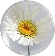 Valentines Day,Crystal Ball with Preserved Flower Rose,3D Inner Crystal Ball,Super Flower for Liv Clear Sphere
