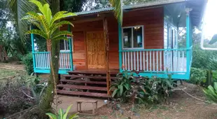 The Bamboo House