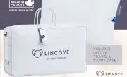 Lincove Signature Canadian Down Pillow Travel & Carry Case (Tote Only) New w Tag
