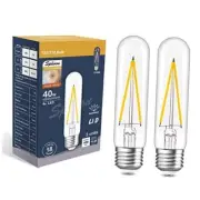 Dimmable Tubular Led Bulb E26 led Light Bulb,T10 T30 Vintage LED 4.0 Watts