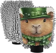 XYMZR Capybara Cute Stpatricks Day Absorbent Microfiber Car Wash Mitt, Funny Cute Anime Scratch Free for Cars Cleaning, Home Cleaning Mitts, 2 Pack, 10.24” L x 7.09” W