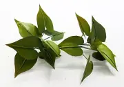 TROPICAL JUNGLE PLANTS MODEL SET 1/35 SCALE. TPV-059
