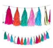 Bright Tassel Bubblegum Garland - Vibrant Colors, Party Decor, 1 Piece