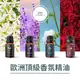 【JMScent】五入組 頂級歐洲香氛精油 10ml/入 多款任選