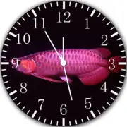 Arowana Fish Frameless Borderless Wall Clock Nice For Gifts or Decor Y76