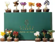 Women Gifts Set of 12 Handcrafted Tree of Life Chakra Healing Crystals & Stones