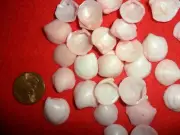 Pink Dyed Small Clam Shells - package of 1oz