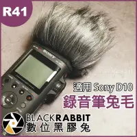 在飛比找蝦皮購物優惠-數位黑膠兔【 R41 錄音筆 兔毛 適用 Sony D10 