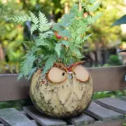 GeLive Owl Planter Ceramic Succulent Plant Pot Fun Animal Flower Container