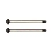 Team Associated RC10B6.2 Rear Hub Hinge Pins, 92188