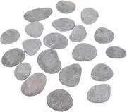 QUMIIRITY 20pcs Painted Stones Boys and Girls Drawing Rocks Natural Smooth Pebbles for Art