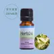 【草本24。Herb24】綠花白千層 純質精油 10ml