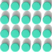 PYJLBX Fridge Magnets - 20 PCS Strong Mini Magnets for Refrigerator, Whiteboard, Locker & Office - Heavy Duty, Cute Round Magnets (Green)