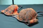 JAVA Calla contour Bra Set Brown 10 12 14 B C