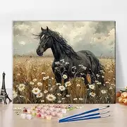 TISHIRON Animal Paint by Numbers for Adults Vintage Nostalgic Black Horse in White Flower Field Adults' Paint-by-Number Kits Paint by Number Kits On Canvas for Wall Decor, 16x20 Inch, Frameless