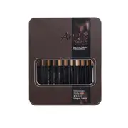 many types nylon hair of painting brush Iron box Artist Paint Brushes Set for Watercolor Oil Acrylic Gouache Painting 12 Pcs