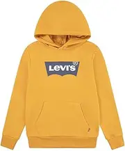 [Levi's] Baby Boys Lvb Bat Screen Print Hoodie, Autumn Blaze, 176, Autumn Blaze, 16 Years