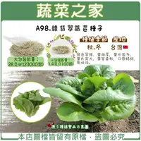 在飛比找樂天市場購物網優惠-【蔬菜之家】A98.綠翡翠萵苣種子(共有2種包裝可選)