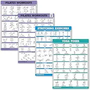 Palace Learning 4 Pack - Pilates Workout Volume 1 & 2 + Stretching + Yoga Poses - Exercise Poster Set (18 x 24, LAMINATED)