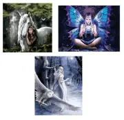 Craft Buddy 'Anne Stokes' Fantasy Paint By Number Kits on Mounted Frames