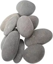 PHENOFICE 10pcs Hand-Painted Rocks for Kids Adults Flat Natural Kit Colorful Pebble Painting Set for Garden Home Decor Aquarium
