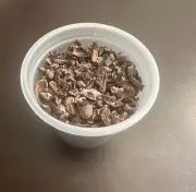 Organic HAITIAN Cacao Nibs (Gres Cacao / Whole Cocoa Bean) - 2 Oz