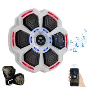 Wall Mounted Bluetooth with 2 Boxing Gloves Electronic Punching Box Music Machine