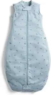 Ergopouch Premium Sleeping Bag 1.0 TOG – 8–24 Months – Dragonflies Print – a ...