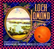 Strathmore Loch Lomond Scottish Scotland Orange Citrus Fruit Crate Label Print