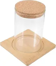 BELLIFFY Glass Jar Terrarium for Hydroponic Plants Elegant Micro Landscape Container with Stopper Design for Home Decor and Planting Enthusiasts