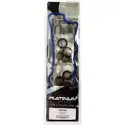 Platinum Valve Regrind Set - DR250