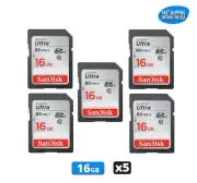 Sandisk Ultra 16GB SD cards for Camera / Trail Camera / Computers (5 Pack)