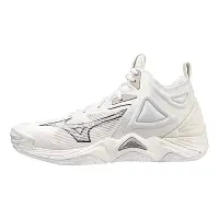 在飛比找Yahoo奇摩購物中心優惠-Mizuno Wave Momentum 3 Mid [V1