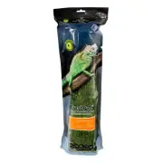 pet supplies plus Substrate Realistic Mossy reptile carpet