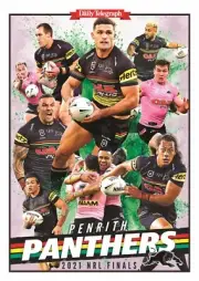 PENRITH PANTHERS TEAM POSTER, NRL RUGBY, STORM, DOGS EELS RABBITOHS SEAEAGLES